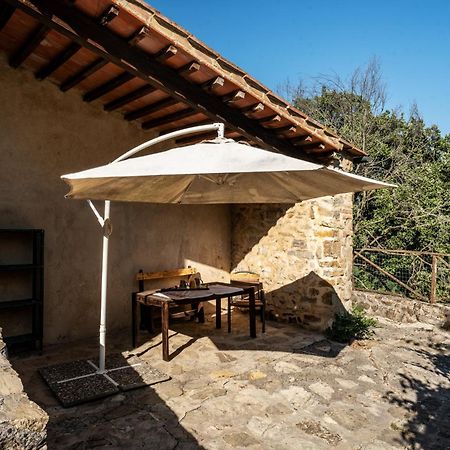Agriturismo Santa Caterina Castelnuovo di Val di Cecina Ngoại thất bức ảnh