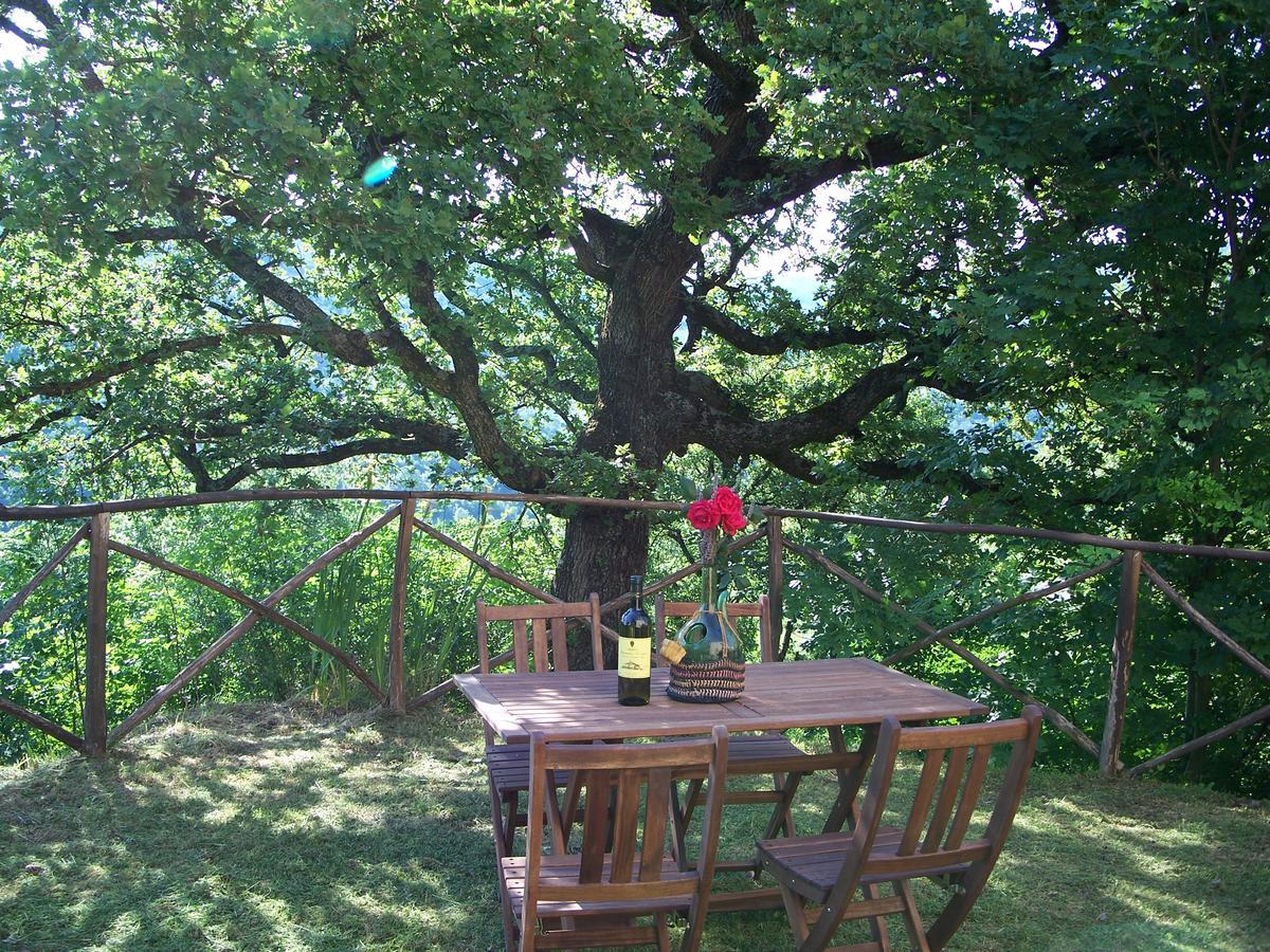 Agriturismo Santa Caterina Castelnuovo di Val di Cecina Ngoại thất bức ảnh
