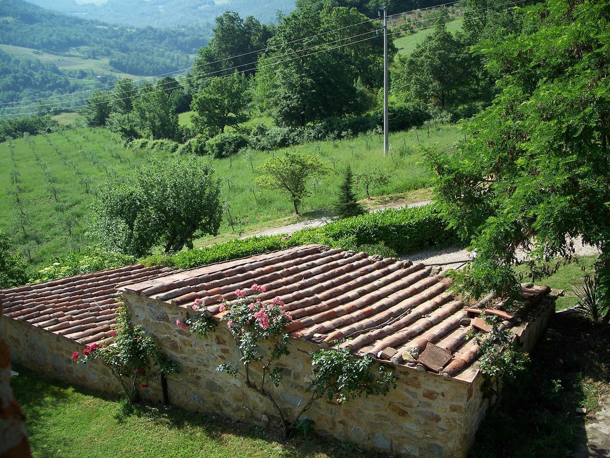 Agriturismo Santa Caterina Castelnuovo di Val di Cecina Ngoại thất bức ảnh
