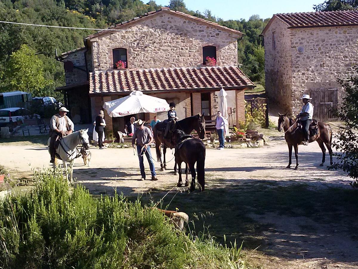 Agriturismo Santa Caterina Castelnuovo di Val di Cecina Ngoại thất bức ảnh