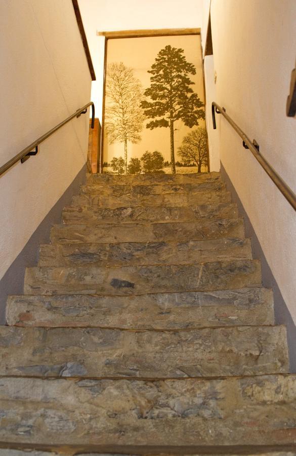 Agriturismo Santa Caterina Castelnuovo di Val di Cecina Phòng bức ảnh